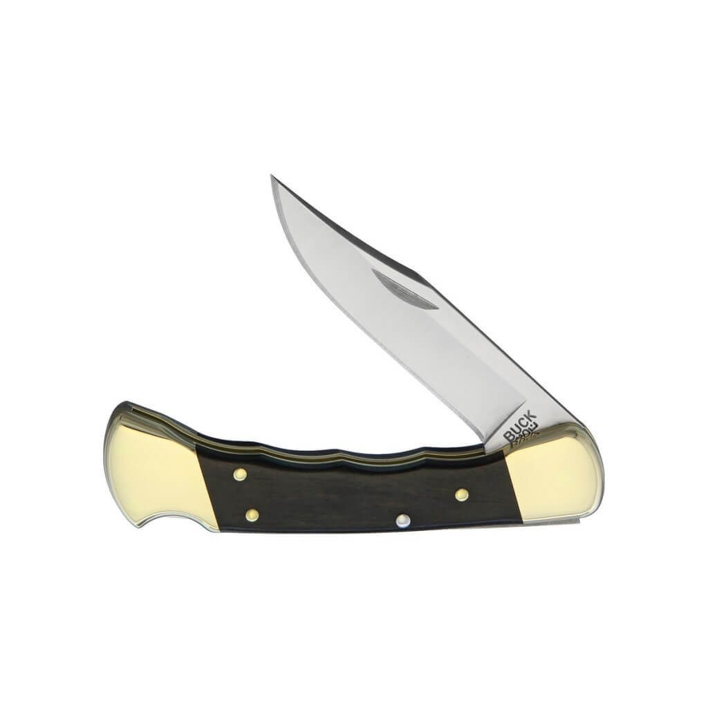 Buck Folding Hunter